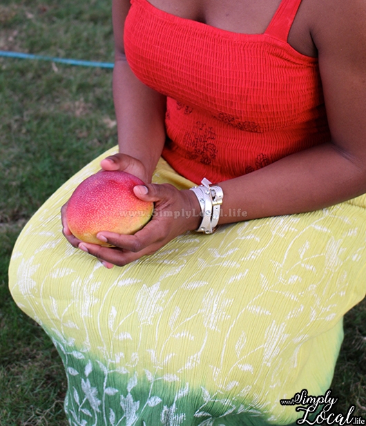 Jamaican Ripe Mango Season