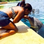 Atlantis-Bahamas-dolphin