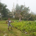 Cinchona Botanical Gardens