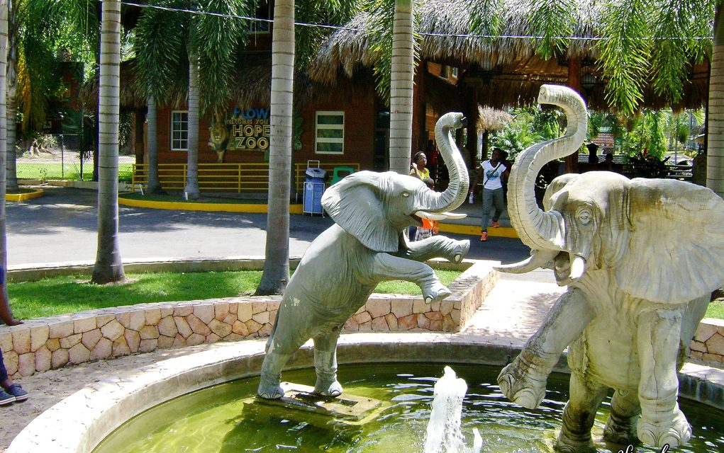 Visit Hope Zoo Kingston