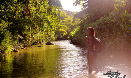 Akashi Guesthouses: Portland Jamaica Private Island