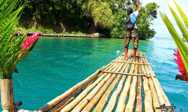 6 Best Bamboo Rafting in Jamaica Picks