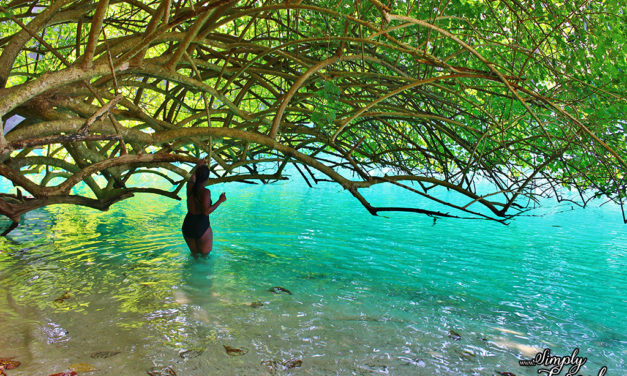 10 Things to Know: Blue Lagoon, Jamaica