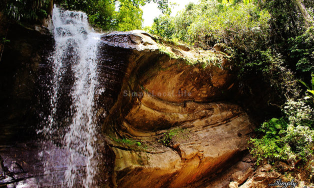 Nanny Falls: Visit Protected Maroon Waterfall in Portland, Jamaica