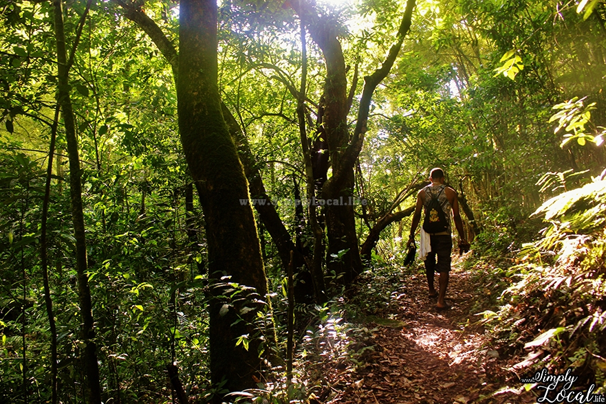 12 Overlooked Hiking Tips You Won’t Want To Forget
