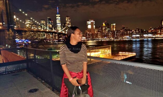 20 FREE & Affordable Things to Do in New York City