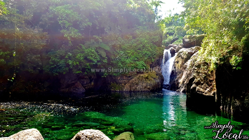 Journey to Dry River: Hidden Portland Waterfall