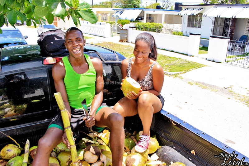 Driving in Jamaica: Ultimate Guide + Road Trip Checklists