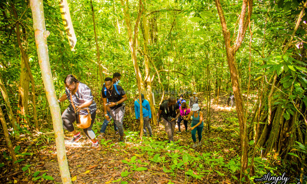 Tek A Hike: Dunns River Falls Walk in Nature