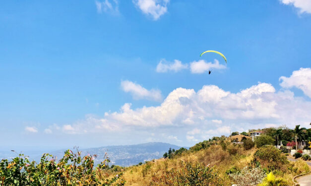 Paragliding in Jamaica: Take flight in Paradise