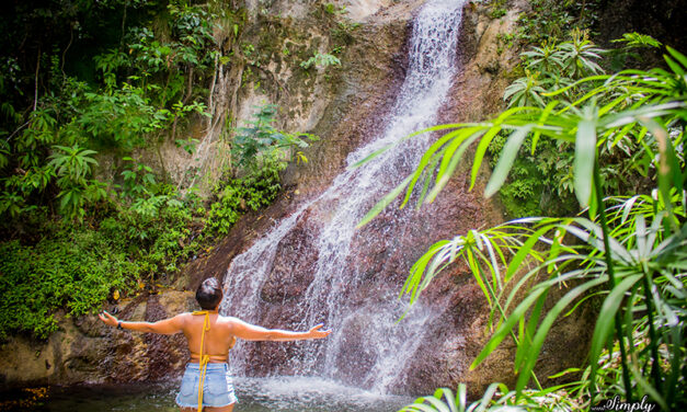 Welcome to Jamrock! Top Things to Do around Kingston, Jamaica
