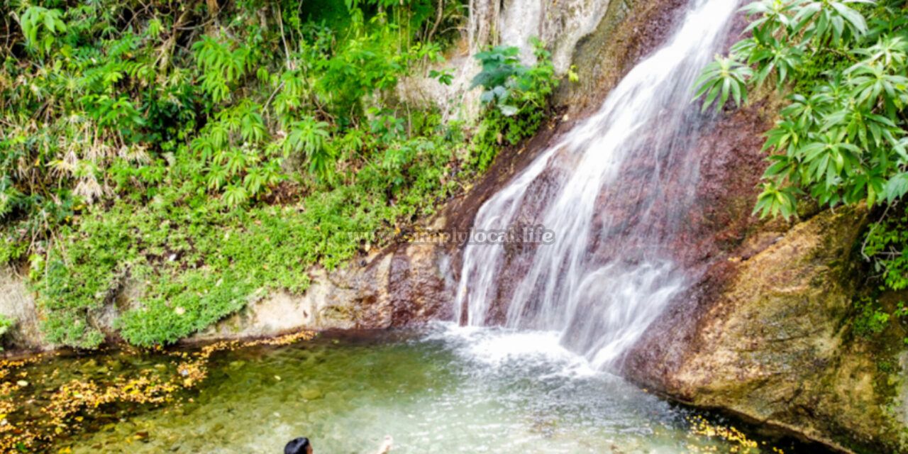 A River Oasis ‘Pretty Close’ to Kingston City