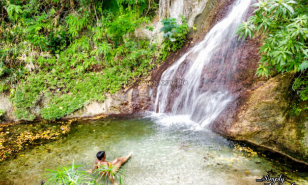 A River Oasis ‘Pretty Close’ to Kingston City