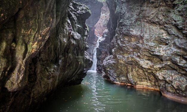 5 Trelawny River Adventures for your Jamaica Bucket List