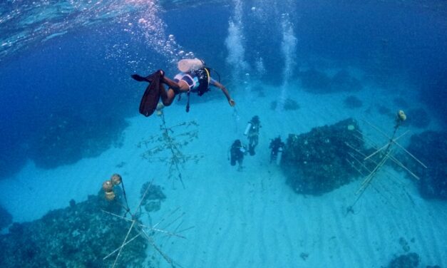 Ultimate Jamaican Bucket List 2026: 50 Adventures in Jamaica