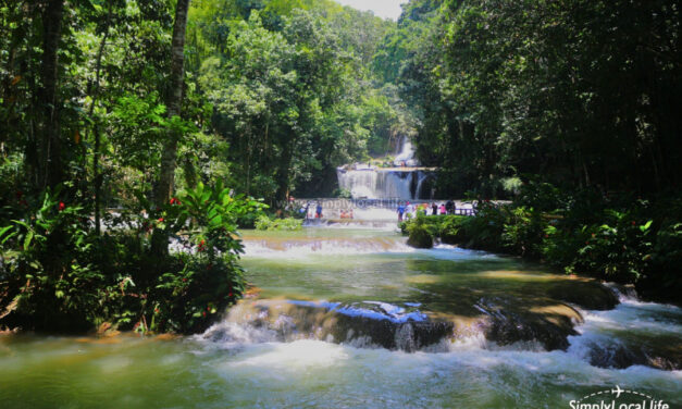 YS Falls: Top Waterfall Attraction of Jamaica’s South Coast