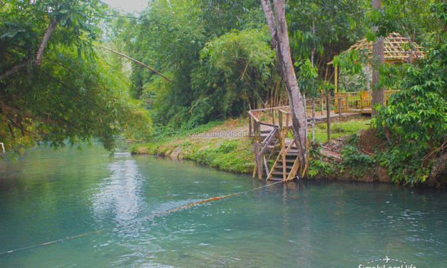 Thatch Hill River Park: Hidden Gem outside Ocho Rios Jamaica